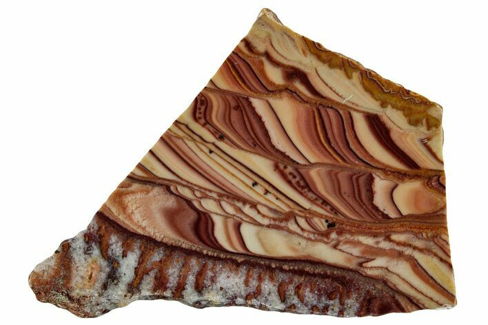 Polished Slab Of Rolling Hills Dolomite - Mexico #257529